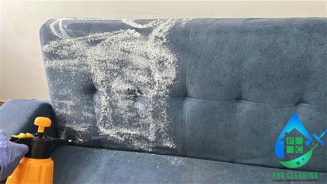 Limpieza de sofá