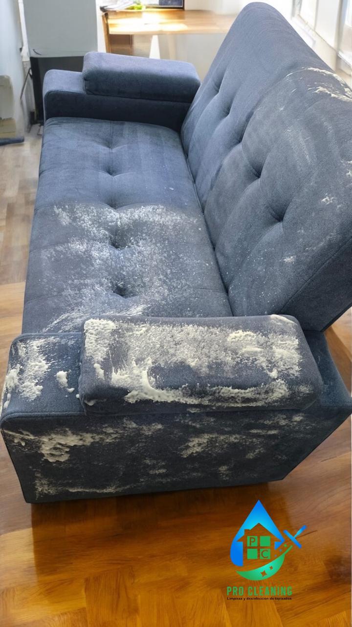 Limpieza de sofá